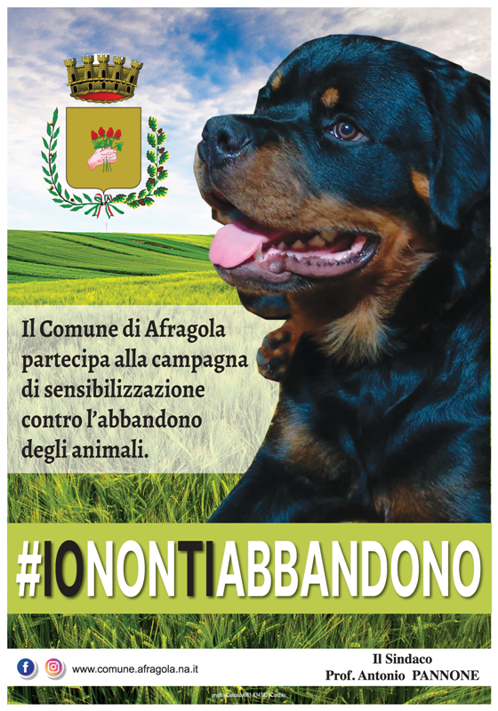 Campagna a difesa degli animali Io non ti abbandono