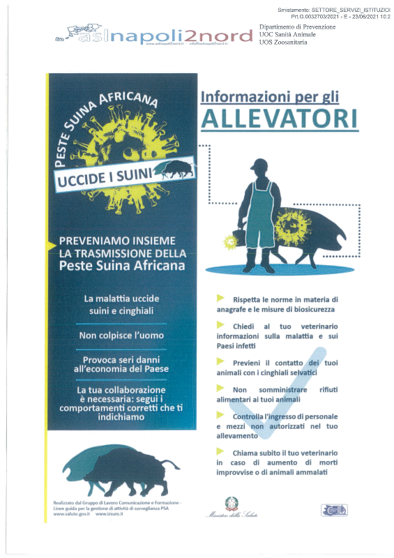 Peste suina africana Pagina 1