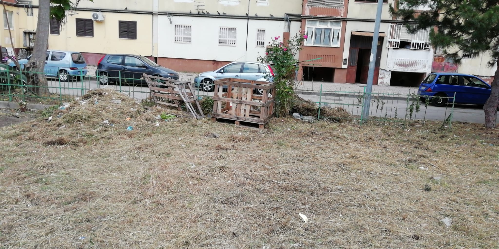02d1f168 f657 4ca4 85d3 a718eafe26f9